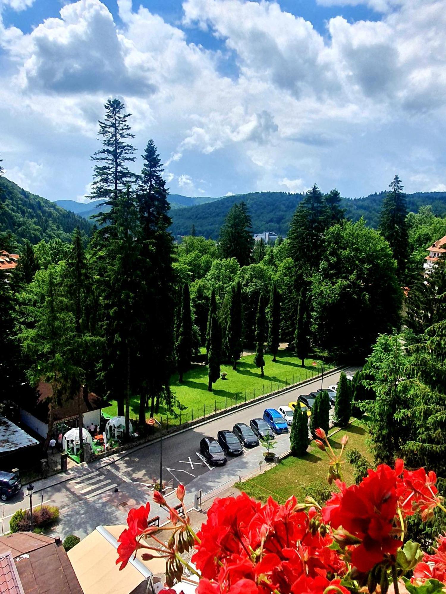 Laura Apartments Синая Экстерьер фото